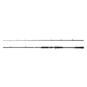 Beast X Casting Rod