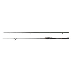 Beast X Spinning Rod