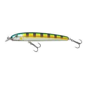 Abu Garcia Beast Hi-Lo Sinking
