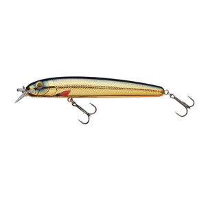 Abu Garcia Beast Hi-Lo Sinking