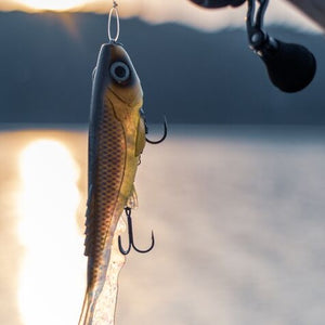 Abu Garcia Beast Softbait Fishing lure on a hook with a blurred natural background