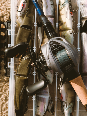 A close-up overhead view of a fishing rod with an Abu Garcia VoltiQ SX baitcasting fishing reel, hooks, and several fish arranged inside a clear plastic storage case.